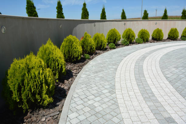 Best Professional Driveway Pavers  in Camp Barrett, VA